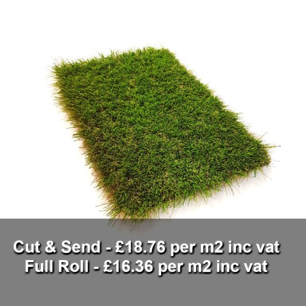 Birch Artificial Grass